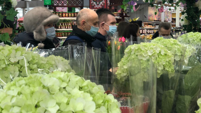 Продажи цветов в преддверии 8 Марта выросли примерно на 75% в Подмосковье