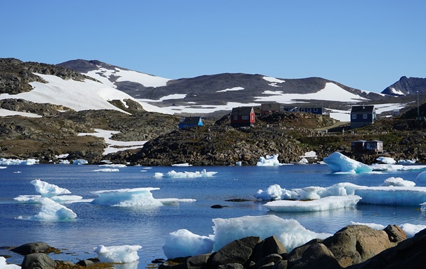Уникальное открытие: в Гренландии найдены останки растений