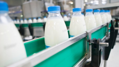 Валовое производство молока в сельхозпредприятиях Подмосковья выросло на 2,3%