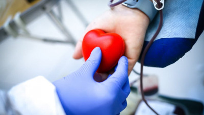 Более 17,5 тонн донорской крови заготовили в Подмосковье с начала года