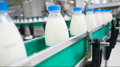 Более 2 тыс. проб молока проверено на качество и безопасность в Подмосковье с начала года