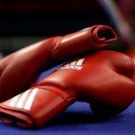 Боксёры из Подмосковья стали лучшими на первенстве России по боксу среди юношей