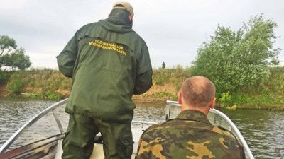 Весенний сезон охоты завершат в Московской области 10 мая 