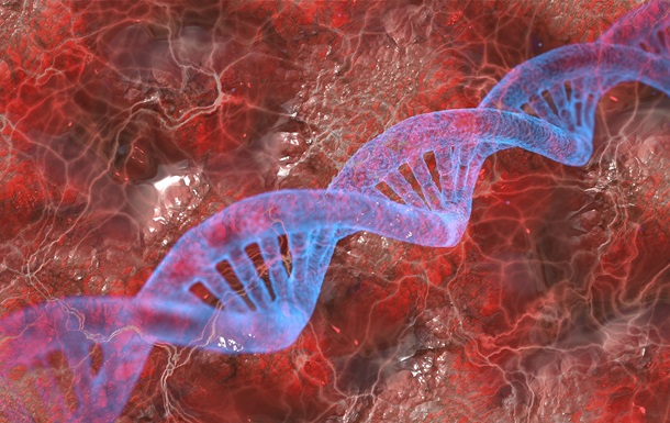 Человеческий геном полностью расшифровали