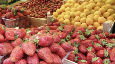 Почти 200 тонн ягод проверили на рынках Подмосковья с начала сезона сбора
