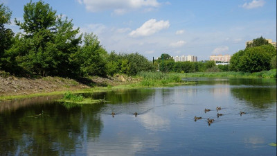 Более 60 км рек очистили в Московской области с 2012 года