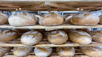 Почти 215 млн рублей господдержки получили подмосковные производители хлеба