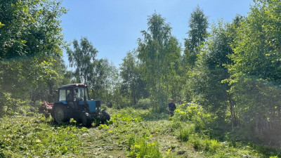 Свыше 6 тыс. га территории Подмосковья обработали от борщевика с середины июля