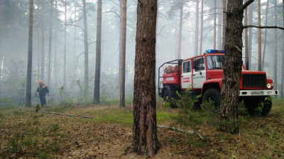 Жителей Подмосковья предупредили о высокой пожарной опасности в лесах 10 и 11 июля