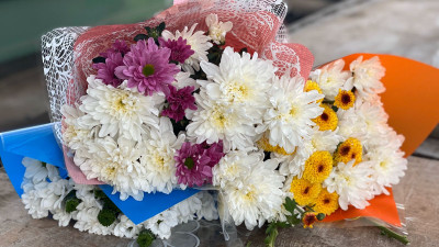 Цветы к 1 сентября в Подмосковье можно купить в 1,5 тыс. торговых точках