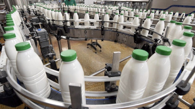 Подмосковье заняло 2 место по присоединению к маркировке молочной продукции в России