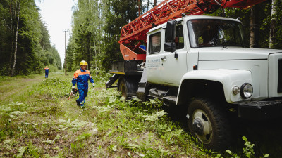 Свыше 2 тыс. га просек линий электропередачи расчистили в Московской области