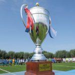 В Бронницах стартовал футбольный турнир «Кубок Игоря Акинфеева»