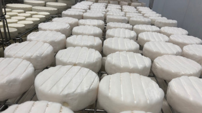 Около 1 тыс. тонн сыра в год планируют производить на новой сыроварне в Чехове