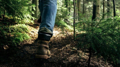 Жителям Московской области напомнили, как правильно пользоваться гаджетами в лесу