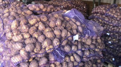 Картофелехранилище на 11 тыс. тонн семенного картофеля в Талдоме принимает новый урожай