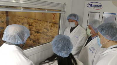 Новое структурное подразделение открылось на птицефабрике в Орехово-Зуевском округе