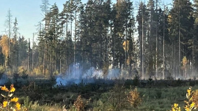 В подмосковных лесах ликвидировано 4 пожара