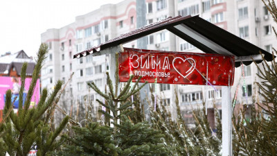 Елочные базары в Московской области начнут работать с начала декабря