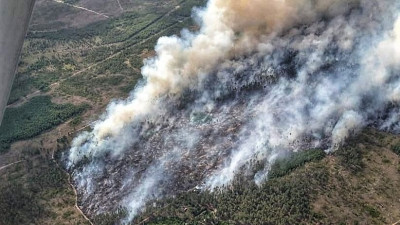 Итоги пожароопасного сезона в лесах подвели в Московской области