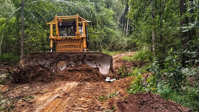 Работы по ремонту и содержанию лесных дорог завершили в Подмосковье