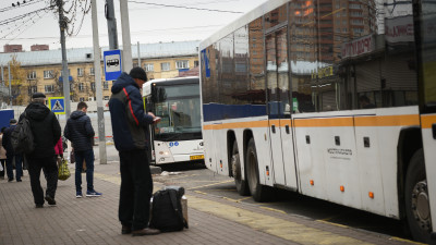 Жителям Подмосковья напомнили, как правильно перевозить питомцев в автобусах «Мострансавто»
