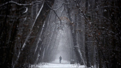 Ивантеевский лесопитомник приглашает на прогулку по одному из старейших дендропарков РФ