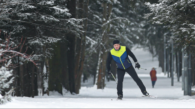 Комитет по туризму Московской области назвал 10 популярных лыжных трасс региона