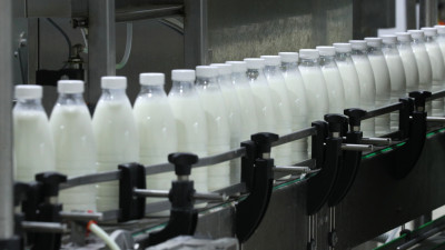 Молоко для «Сырной долины» в Московской области будут частично завозить из других регионов РФ