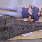 Найдены останки самого большого ихтиозавра на Земле