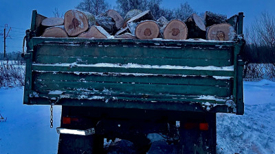 Незаконную рубку деревьев пресекли в Пушкинском округе