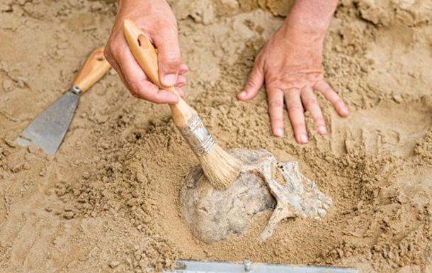 Под Днепром обнаружены останки человека возрастом семь тысяч лет