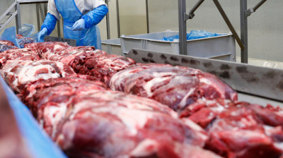 Свыше 4 тыс. тонн мяса забраковали ветспециалисты Минсельхоза Подмосковья в 2021 году