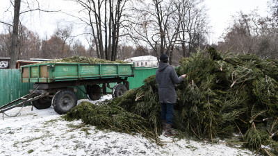 Более 64 тыс. новогодних елок сдали на переработку в Московской области в рамках экоакции