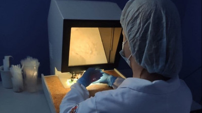 Еще 9 998 пациентов выздоровели после коронавируса в Московской области