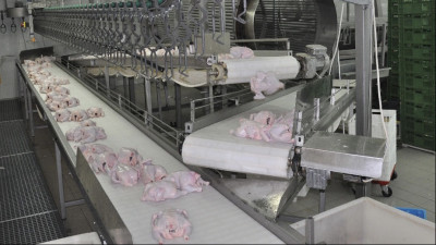 Производство мяса увеличилось на 7,5 тыс. тонн в Подмосковье