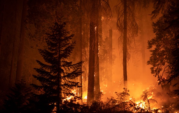 Земля в огне: в ООН предрекли рост экстремальных лесных пожаров
