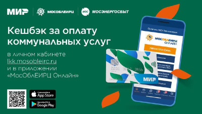Жители Подмосковья вернули 55 млн рублей за оплату коммуналки картой «Мир»