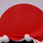 обсуждение мирного договора между россией и японией невозможно