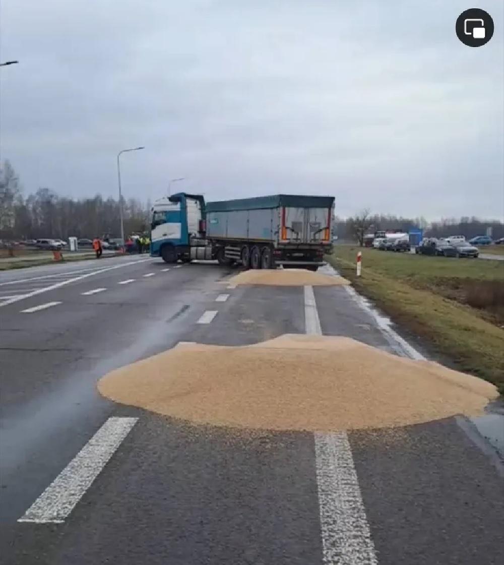 поляки сеют украинское зерно на автотрассах