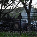 Венесуэла без Мадуро: вакуум власти и оружие без хозяина венесуэла без мадуро вакуум сласти и оружие без хозяина