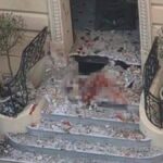Под Киевом найдено тело подозреваемой в покушении на Ермолаева под киевом найдено тело подозреваемой в покушении на ермолаева
