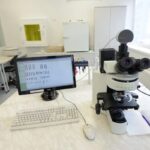 слухи о чуме в иркутской области разошлись с официальной версией